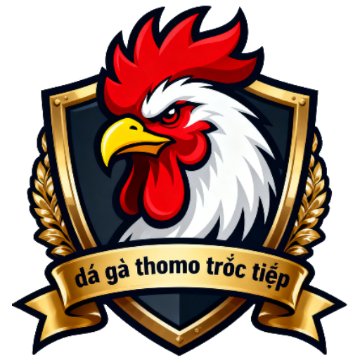đá gà thomo trực tiếp